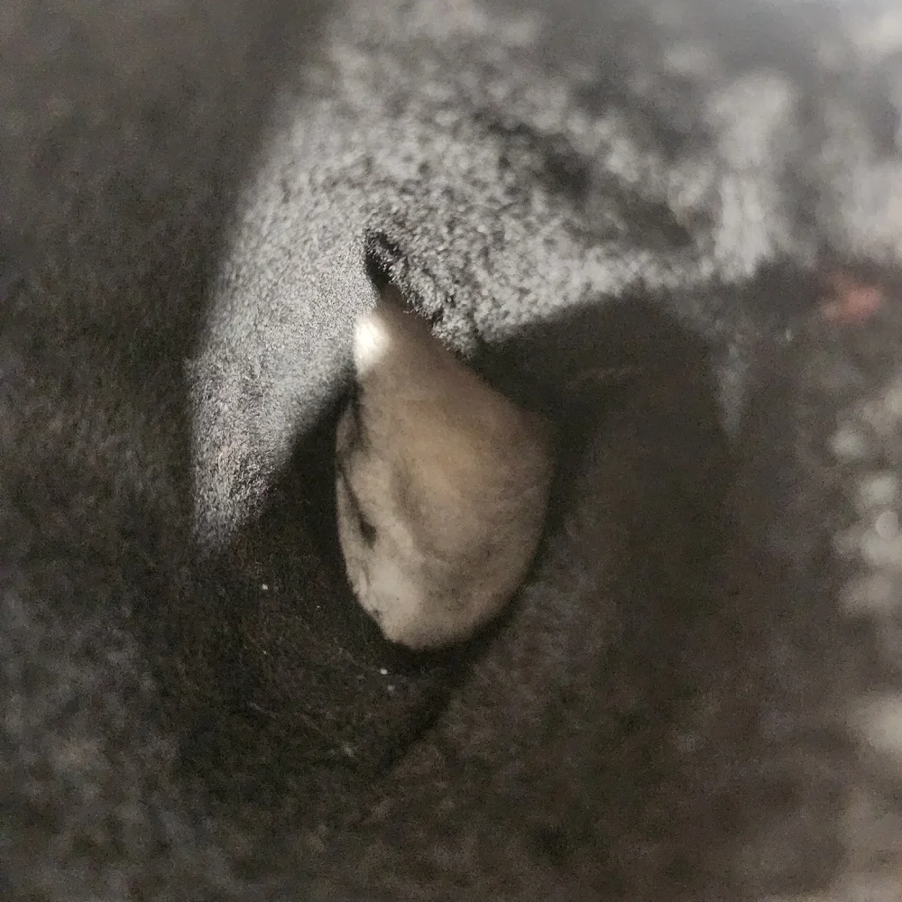 Eskimo 24 - Picture 5 of 6